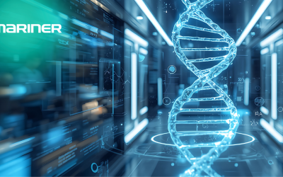 Trust but Verify: How Health Information Management (HIM) Professionals Keep AI Honest