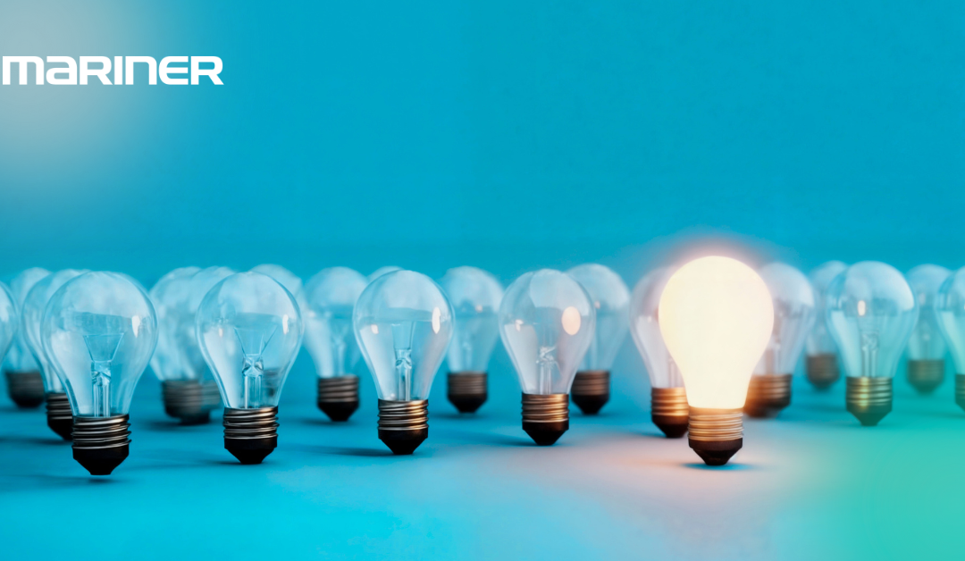 Building Change Capabilities: How We Leave Organizations Stronger Than We Found Them
