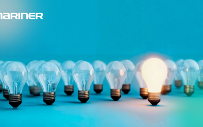 Building Change Capabilities: How We Leave Organizations Stronger Than We Found Them